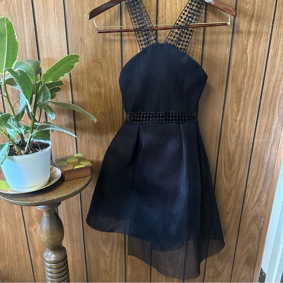 Luxxel Dresses & Skirts - Luxxel Black Mesh Mini Dress